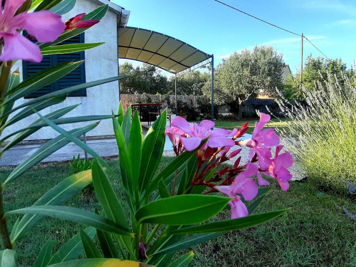 Holiday Home Villa Emma Debeljak Bagian luar foto