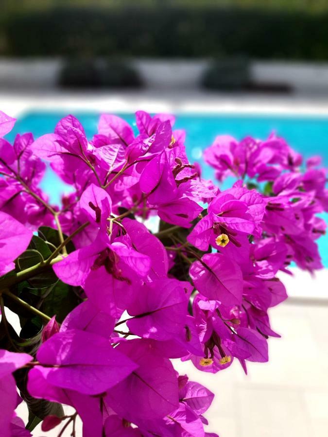 Holiday Home Villa Emma Debeljak Bagian luar foto